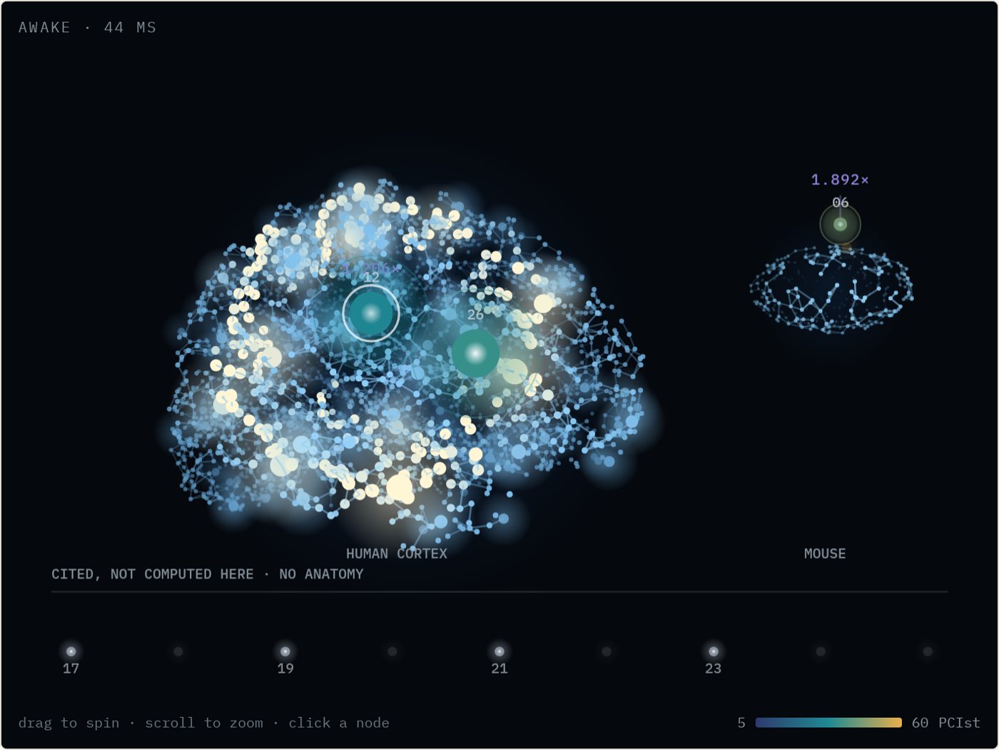 The atlas: a human cortex and a mouse brain rendered as lit point clouds, each issued reading placed where it was recorded and colored by its value.